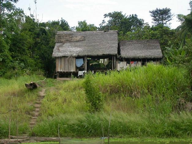 Hütte an einem Zufluss des Amazonas in Peru
