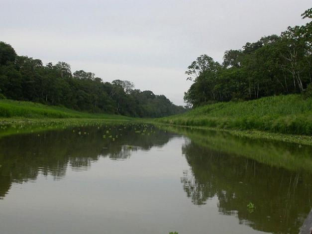 Nebenfluss des Amazonas