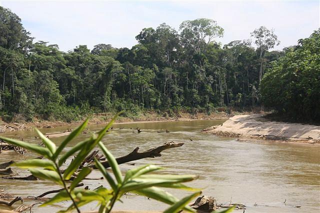 Nebenfluss des Amazonas 