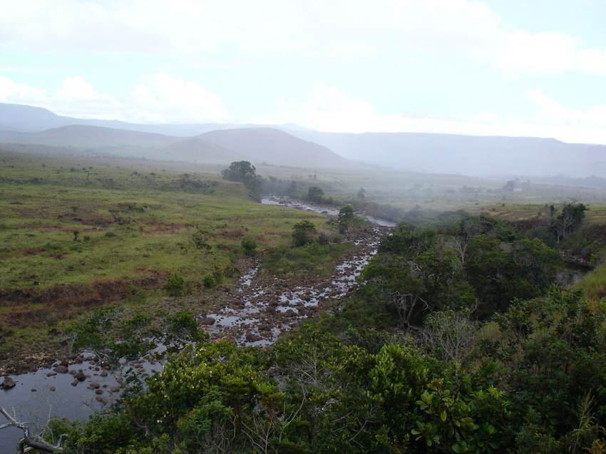 Boa constrictor Habitat Venezuela - Gran Sabana