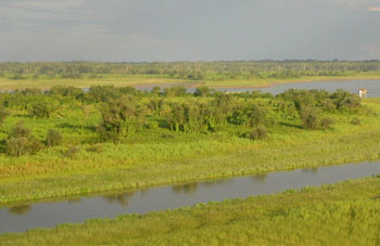 Nebenfluss des Amazonas