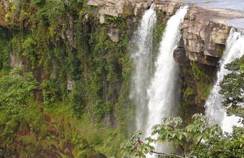 Habitat Fotos - Venezuela - Gran Sabana