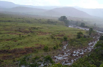 Boa constrictor Habitat Venezuela - Gran Sabana